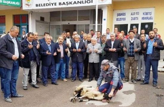 Belediye Başkanı Kaza Sonrası Kurban Kesti